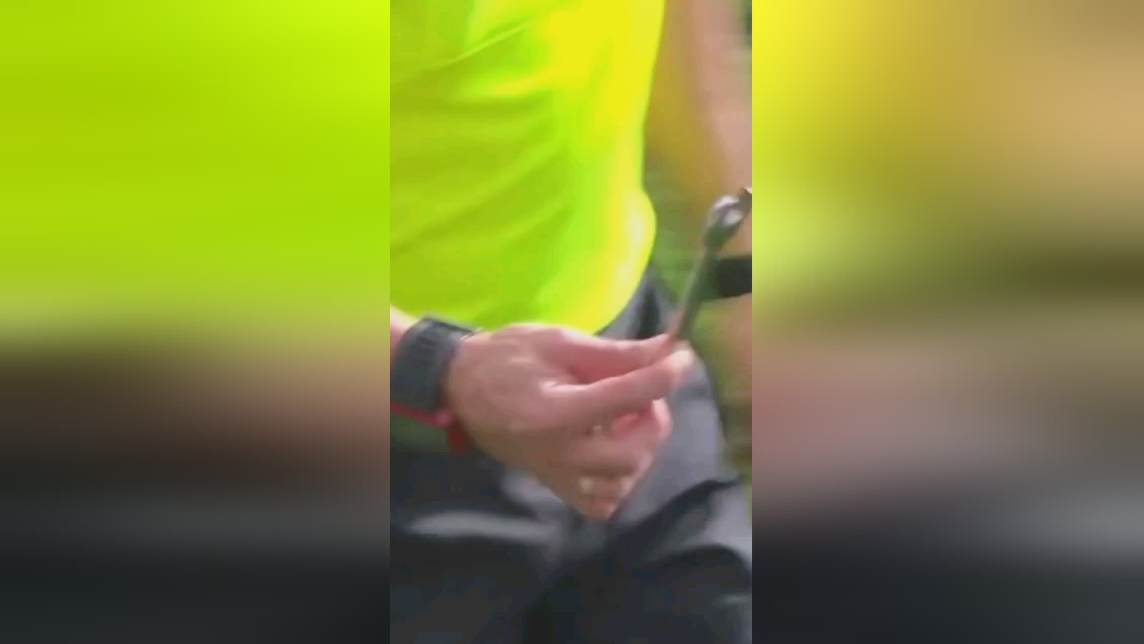 作为联盟全